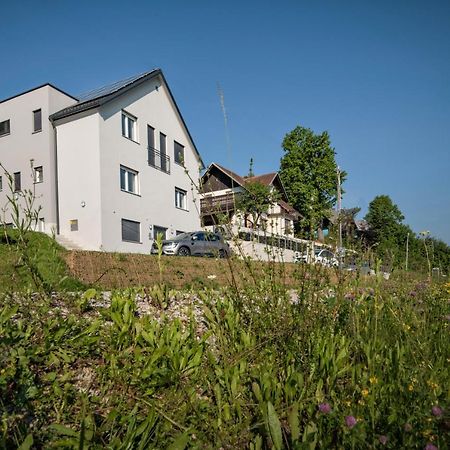 Vila Vernig Bled Extérieur photo